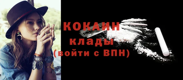 мет Няндома