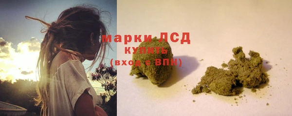 амф Новокубанск