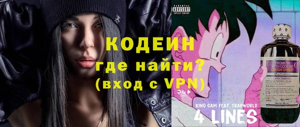 мет Няндома