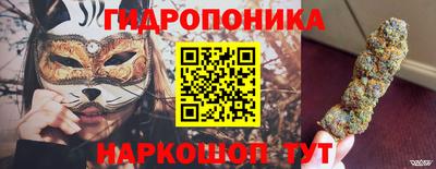 СК Гагарин