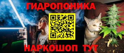 СК Гагарин