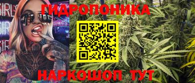 трава Гатчина
