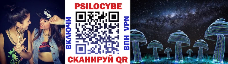 Псилоцибиновые грибы Psilocybe  Омск 