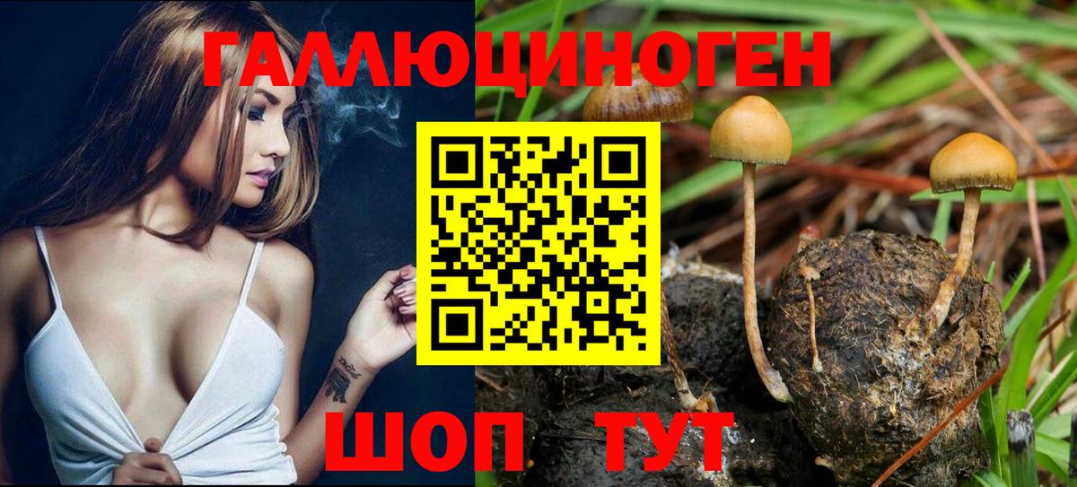 Омск  Галлюциногенные грибы ЛСД  Вход с VPN  Галлюциногенные грибы мицелий 