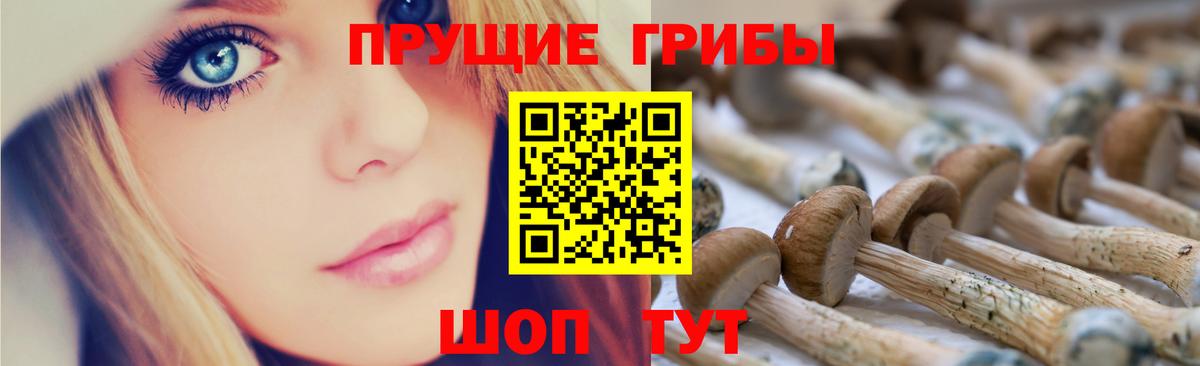 Галлюциногенные грибы GOLDEN TEACHER Омск
